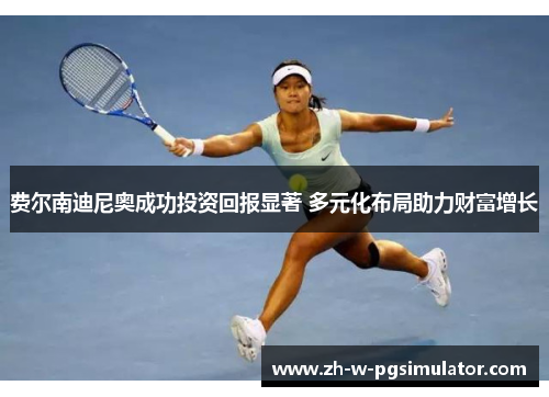 费尔南迪尼奥成功投资回报显著 多元化布局助力财富增长