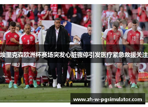 埃里克森欧洲杯赛场突发心脏骤停引发医疗紧急救援关注