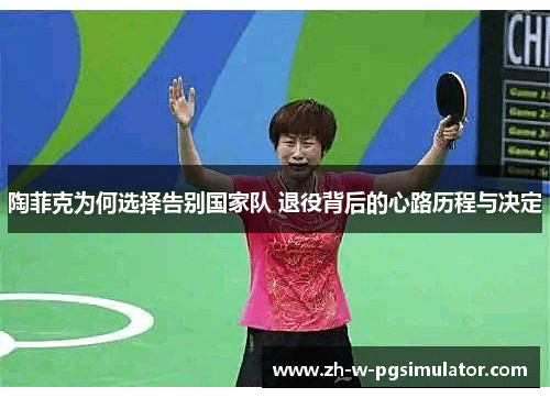 陶菲克为何选择告别国家队 退役背后的心路历程与决定